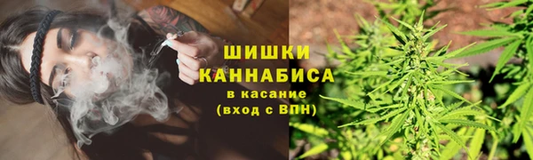 бошки Богданович