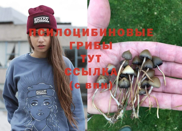мяу мяу кристалл Богородск