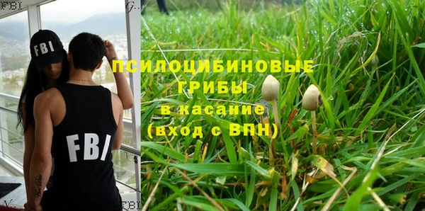 бошки Богданович