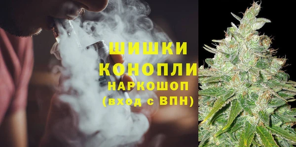 бошки Богданович