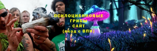бошки Богданович